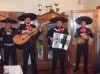 serenatas, mariachis y mucho mas!!