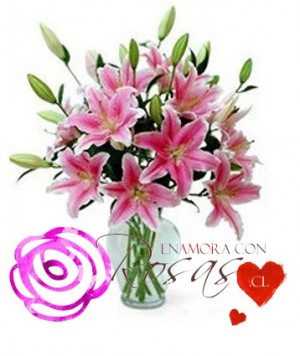 Florero con Lilium Rosados a Domicilio prestadores de Servicio tecnico en Chile en Santiago |  Flores a Domicilio Santiago Floreria Enamoraconrosas.cl, Rosas en caja - Ramos de flores - Arreglos Florales - Floreros a domicilio
