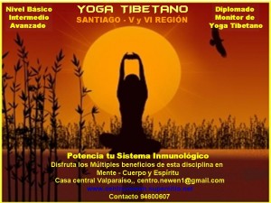 Centro Newen prestadores de Servicio tecnico en Chile en Vitacura |  YOGA TIBETANO INTEGRAL, UNICO EN EL PAIS