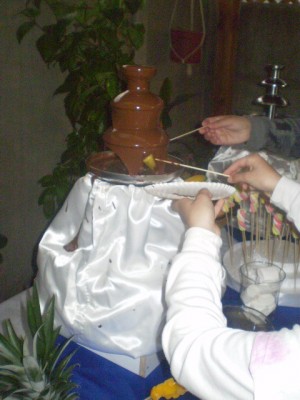 JENNY prestadores de Servicio tecnico en Chile en Santiago |  ARRIENDO CASCADAS DE CHOCOLATE...., ARREINDO CASCADAS CHOCOALTES PARA CUMPLEA&Ntilde;OS, BAUTIZOS, PRIMERAS COMUNIONES