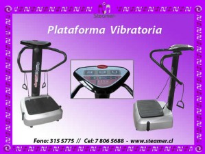 maria martinez prestadores de Servicio tecnico en Chile en Pe&ntilde;alol&eacute;n |  10 min diarios equivalen a una caminata de 1 hora,  PLATAFORMA VIBRATORIA CRAZY FIT