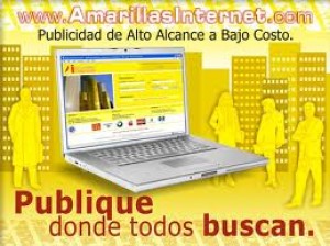 Benjamin Salvatierra prestadores de Servicio tecnico en Chile en Santiago |  Se due&ntilde;o de tu propio negocio de publicidad, amarillas internet trabajo independiente