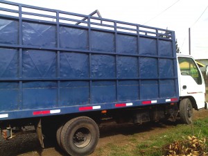 raul lavoz prestadores de Servicio tecnico en Chile en Temuco |  se hacen fletes y mudanzas, dentro y fuera de la regi&oacute;n