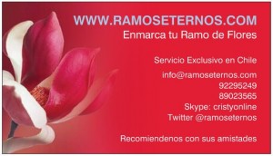  prestadores de Servicio tecnico en Chile en Vitacura |  Enmarcado de Ramos de Novia Vitacura, enmarcados de ramos de novia www.ramoseternos.com, cristina diaz
