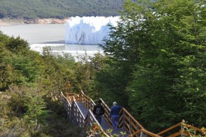 RODOLFO D�AZ MIRANDA prestadores de Servicio tecnico en Chile en Punta Arenas |  TOUR EN EL D&Iacute;A Y POR EL D&Iacute;A PLAN FAMILIAR O EN GRUPO TODOS LOS DESTINOS , GLACIAR PERITO MORENO Y TORRES DEL PAINE turismomercury@gmail.com