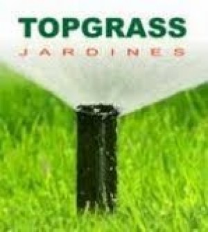 TOPGRASS prestadores de Servicio tecnico en Chile en Santiago |  PASTO ALFOMBRA NATURAL, Pasto en Rollos