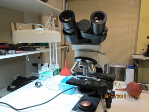 Jorge prestadores de Servicio tecnico en Chile en Santiago |  Reparacion brujulas niveles microscopios niveles miras binoculares, Servicio tecnico