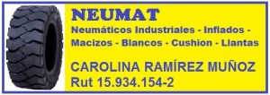 carolina ramirez prestadores de Servicio tecnico en Chile en Macul |  Neumaticos para gruas horquillas blancos y negros,llantas, Neumaticos grua horquilla