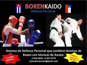 Manuel Mar&iacute;n prestadores de Servicio tecnico en Chile en Santiago |  Defensa personal boxeo y karate para ni&ntilde;os, j&oacute;venes y adultos ., Defensa personal boxeo y karate para ni&ntilde;os, j&oacute;venes y adultos .