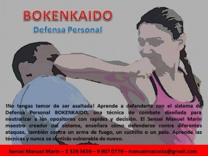 Manuel Mar&iacute;n prestadores de Servicio tecnico en Chile en Santiago |  Defensa personal 