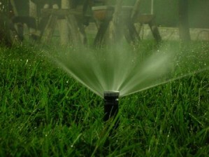 Osvaldo prestadores de Servicio tecnico en Chile en Vi&ntilde;a del Mar |  Riego automatico todo equipamiento marca hunter, mantenimiento, Paisajismo, mantenimiento, tecnificados