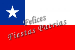 claudia contreras prestadores de Servicio tecnico en Chile en Santiago |  Creditazo dieciochero!!! con o sin dicom unico legal, Le ofrecemos una alternativa seria y eficaz