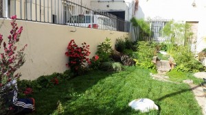 Osvaldo C&aacute;rdenas prestadores de Servicio tecnico en Chile en Vi&ntilde;a del Mar |  Mantenciones de jardiner&iacute;a, fertilizaci&oacute;n, riegos tecnificados , Tecnificaciones, jardiner&iacute;a, decoraci&oacute;n y dise&ntilde;o 