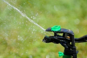 Osvaldo C&aacute;rdenas prestadores de Servicio tecnico en Chile en Vi&ntilde;a del Mar |  Mantenciones de jardiner&iacute;a, fertilizaci&oacute;n, riegos tecnificados , Jardiner&iacute;a, mantenci&oacute;n, paisajismo y dise&ntilde;o