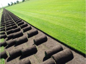 Osvaldo C&aacute;rdenas prestadores de Servicio tecnico en Chile en Vi&ntilde;a del Mar |  Pasto en rollo, riegos tecnificados, fertilizaci&oacute;n, mantenciones , Mantenciones de jardines, riegos autom&aacute;ticos, c&eacute;sped