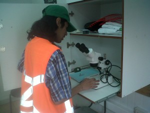 sebastian acu&ntilde;a negrete prestadores de Servicio tecnico en Chile en Santiago |  Certificacion de lupa esteroscopica liss oficina sag fruticola packing, Mantencion calibracion instalacion reparacion