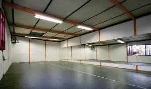 Danza Ebano  prestadores de Servicio tecnico en Chile en &Ntilde;u&ntilde;oa |  Salas de ensayo para danza, teatro, artes esc&eacute;nicas..., Salas de ensayo para danza, teatro, artes esc&eacute;nicas...