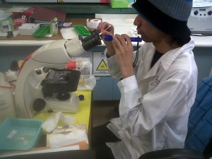 sebastian alexander acu&ntilde;a negrete prestadores de Servicio tecnico en Chile en Santiago |  Mantencion preventiva microscopio leica dm 500 certificacion mp , Acreditacion de microscopio leica nikon olympus zeiss