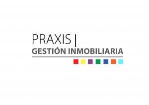 Praxis Gestion Inmobiliaria prestadores de Servicio tecnico en Chile en Providencia |  Administracion de edificios y  condominios en providencia, Praxis gestion inmobiliaria administracion de edificios