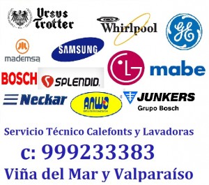 Tecnico Calefonts Estufas Vi&ntilde;a del Mar prestadores de Servicio tecnico en Chile en Vi&ntilde;a del Mar |  Servicio calefon splendid mademsa c 999233383 vi&ntilde;a, Servicio tecnico calefont lavadoras fensa lg neckar mademsa trotter 