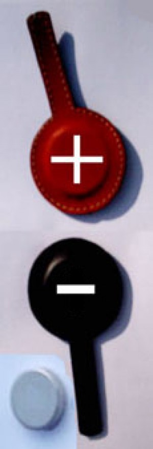 Laura LLancafil prestadores de Servicio tecnico en Chile en Santiago |  Biomagnetismo a domicilio en Santiago, Alumna del Dr. Goiz Colegiada