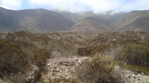 Ricardo prestadores de Servicio tecnico en Chile en La Serena |  Arriendo Terreno 5.000 mts2 para antena telef&oacute;nica o publicidad, IV Regi&oacute;n
