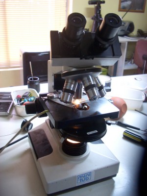 jorge prestadores de Servicio tecnico en Chile en Pe&ntilde;alol&eacute;n |  REPARACION DE MICROSCOPIOS E INSTRUMENTAL OPTICOS, SERVICIO TECNICO