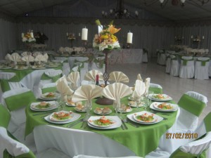 maria teresa prestadores de Servicio tecnico en Chile en Santiago |  banqueteria maria teresa eventos 9845065, matrimonios, garduaciones, bautizos, aniversarios, cocktail, etc